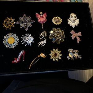 2026 is the year of the Broach! Get your head start with this lot of 14 Beauties